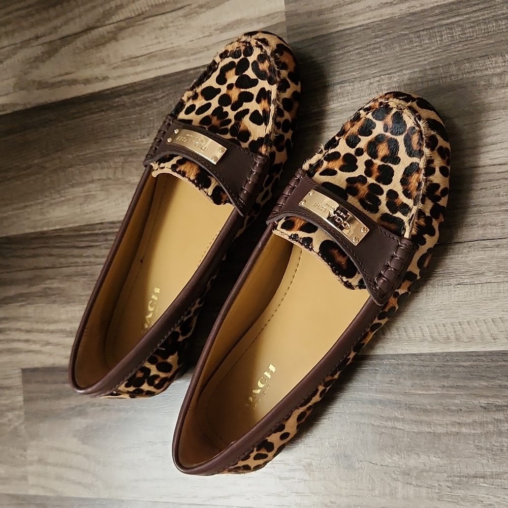 Coach leopard Haircalp